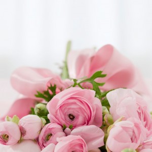 Flowers Flowers